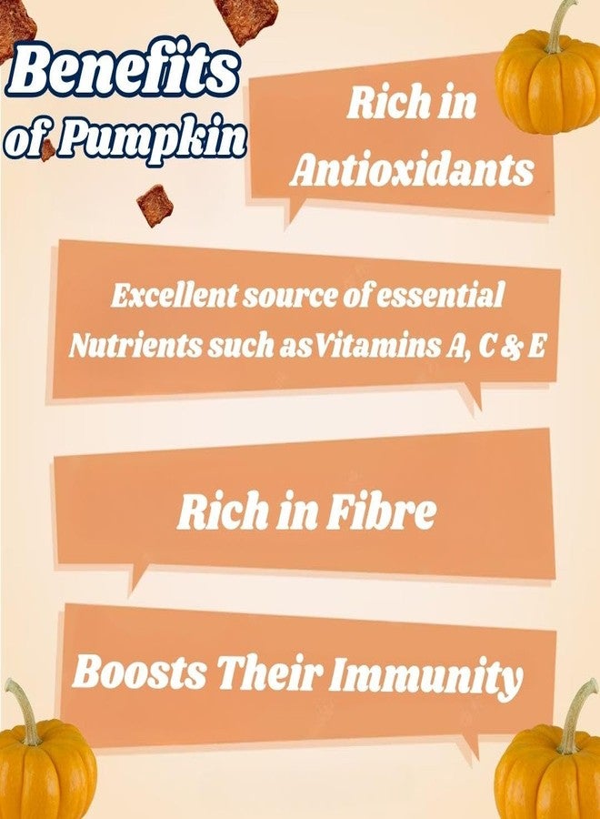 WiggleBoo Chicken & Pumpkin Hamster Treat | Protein Rich | Natural Detoxifier | for All Hamster Breed | Crunchy Food Snack (30g) - Image 3